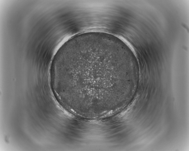 X0000095511341200712281429