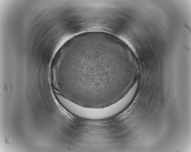 X0000095511342200712281429