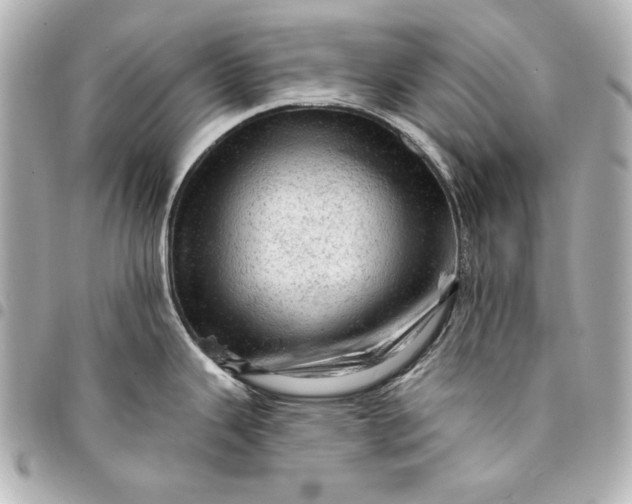 X0000095511343200712281429