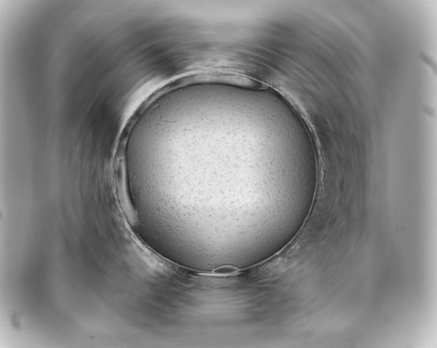X0000095511344200712281429