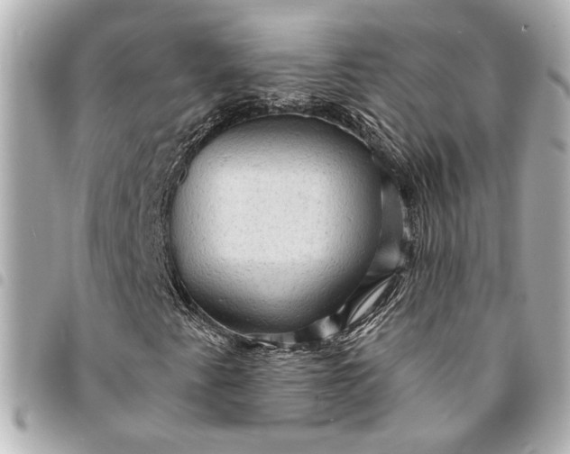 X0000095511345200712281429