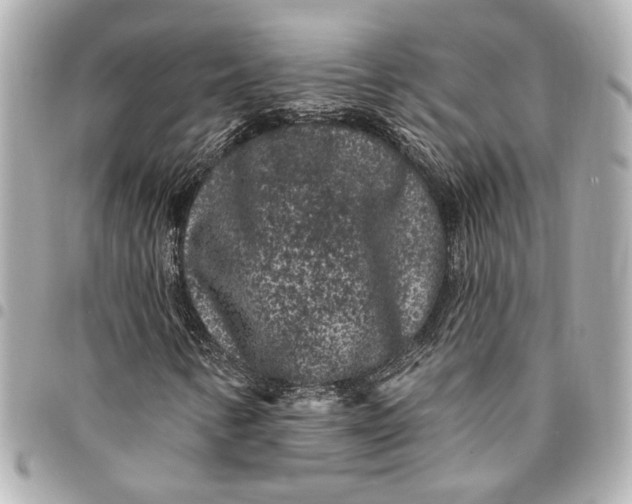X0000095511346200712281429