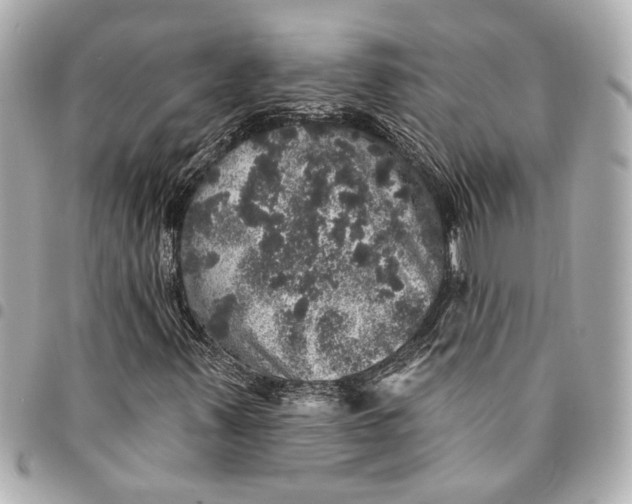 X0000095511347200712281429