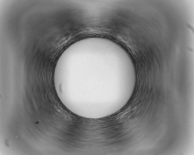 X0000095511348200712281429