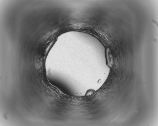 X0000095511349200712281428