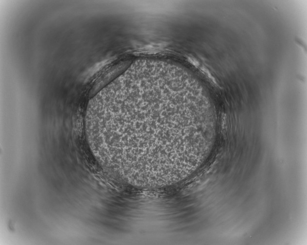X0000095511350200712281428