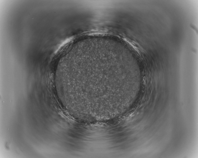 X0000095511351200712281428