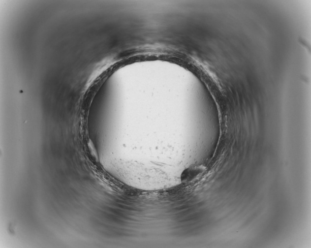 X0000095511352200712281428