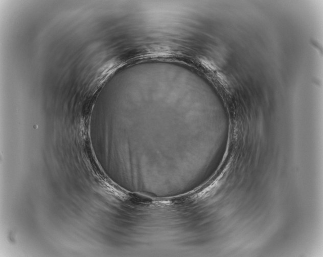 X0000095511353200712281428