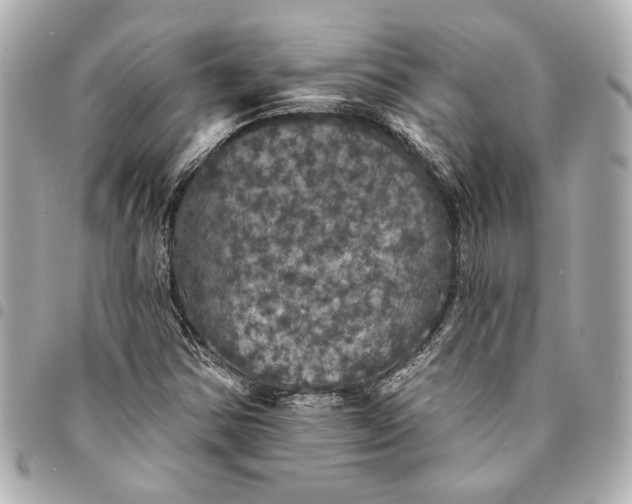 X0000095511354200712281428