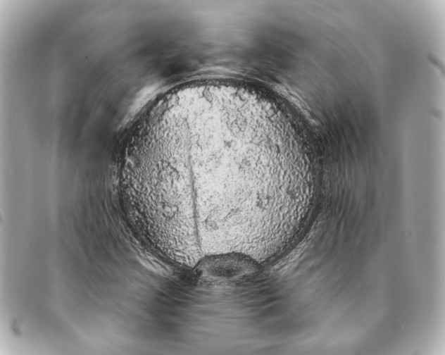 X0000095511355200712281428