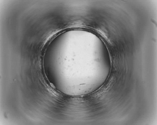 X0000095511356200712281428