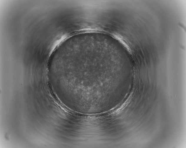 X0000095511357200712281428