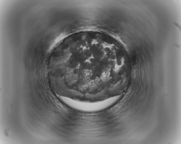 X0000095511359200712281428