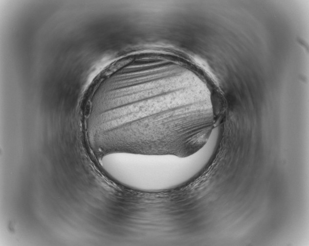 X0000095511360200712281428