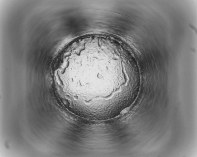 X0000095511363200712281428