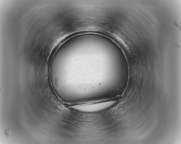 X0000095511364200712281428