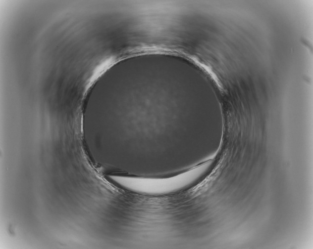 X0000095511365200712281428
