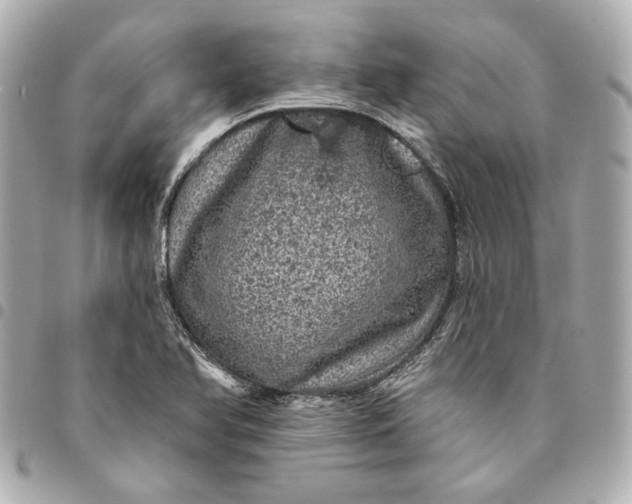 X0000095511366200712281428