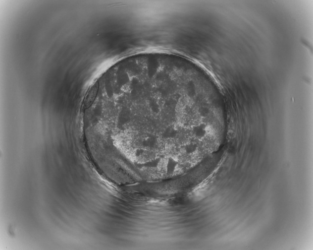 X0000095511367200712281428