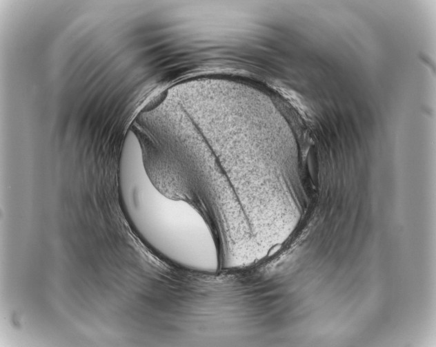 X0000095511369200712281428