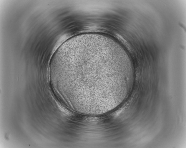 X0000095511370200712281428