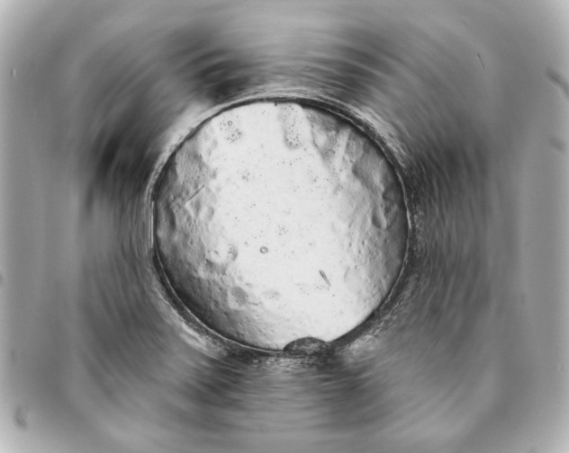X0000095511371200712281428