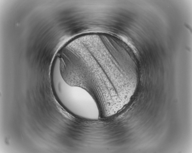 X0000095511372200712281428