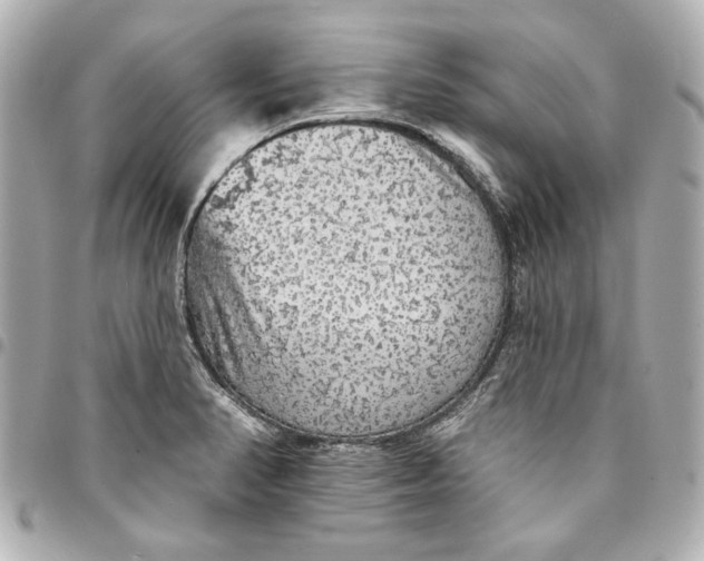 X0000095511374200712281428