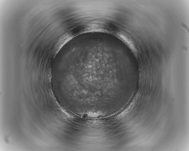 X0000095511377200712281428