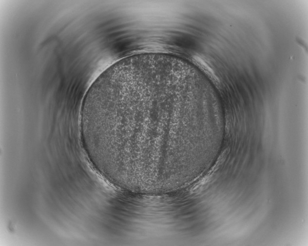 X0000095511378200712281428