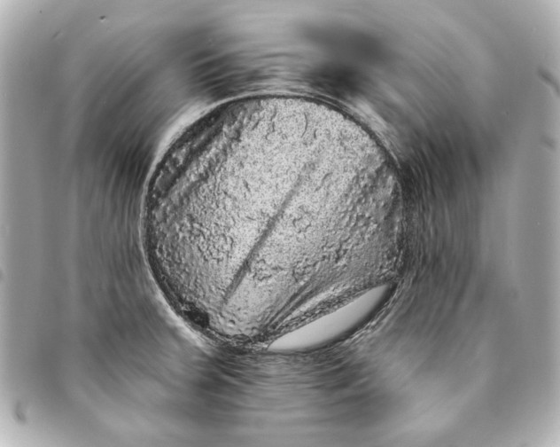 X0000095511379200712281428