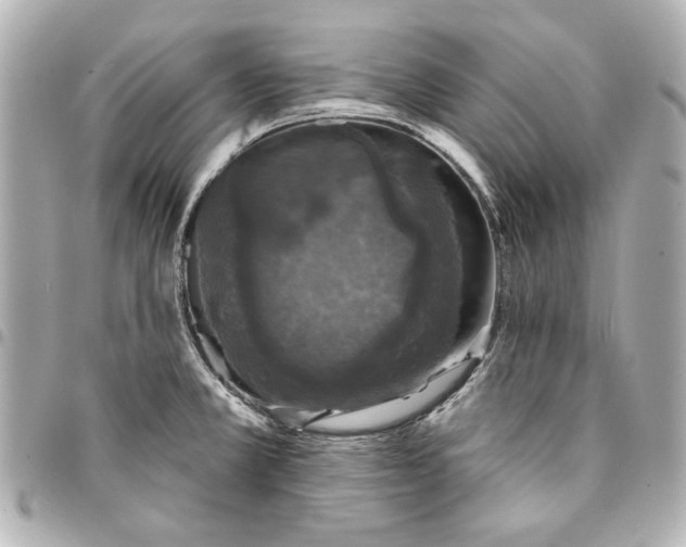 X0000095511381200712281428