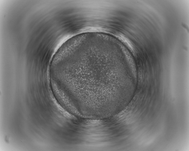X0000095511382200712281428