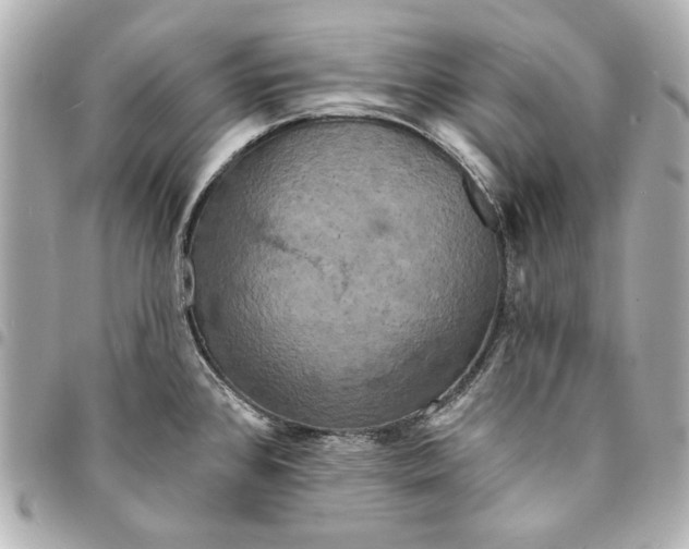 X0000095511384200712281428