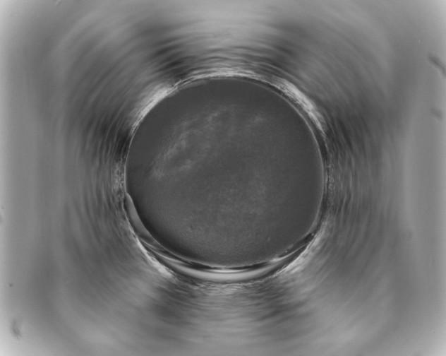 X0000095511385200712281428