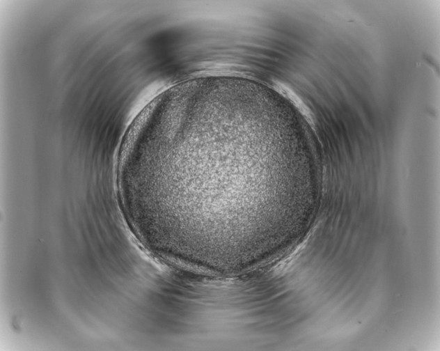 X0000095511386200712281428
