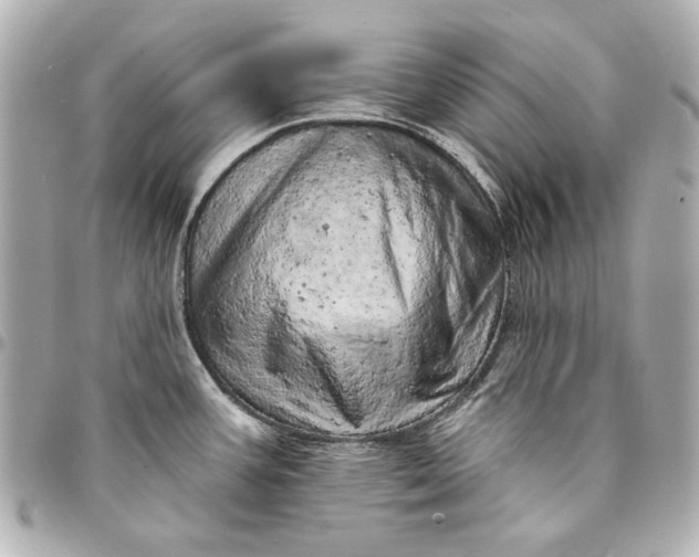 X0000095511387200712281428