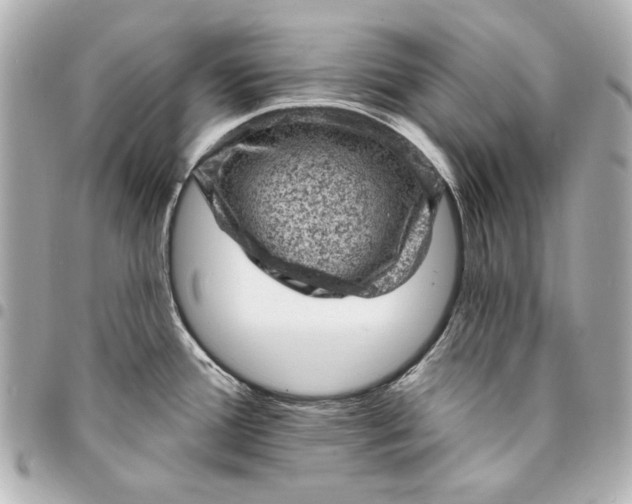 X0000095511388200712281428