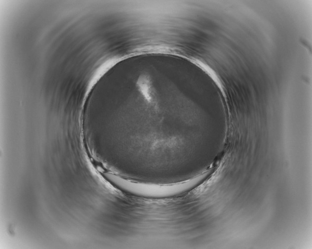 X0000095511389200712281428