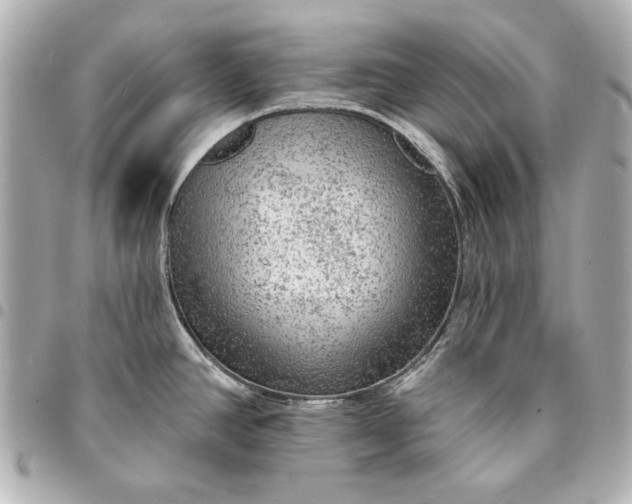 X0000095511390200712281428