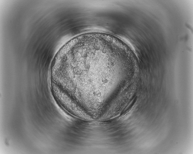 X0000095511391200712281428