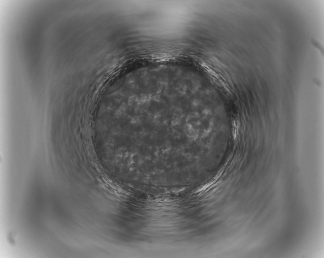 X0000095511393200712281427