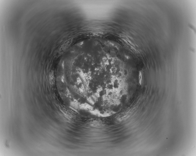 X0000095511395200712281427