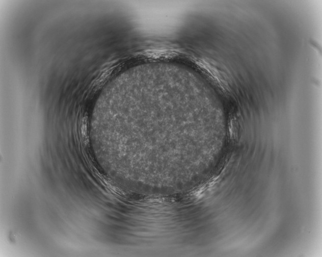 X0000095511396200712281427