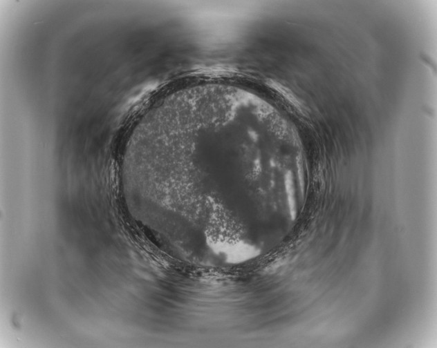 X0000095511398200712281427