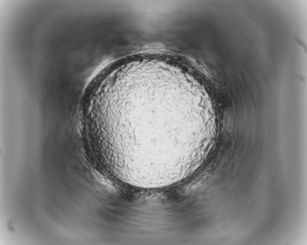 X0000095511400200712281427
