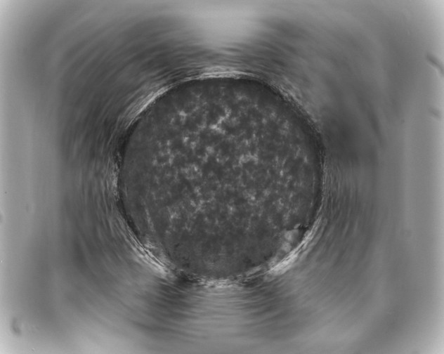 X0000095511401200712281427