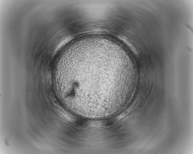 X0000095511402200712281427