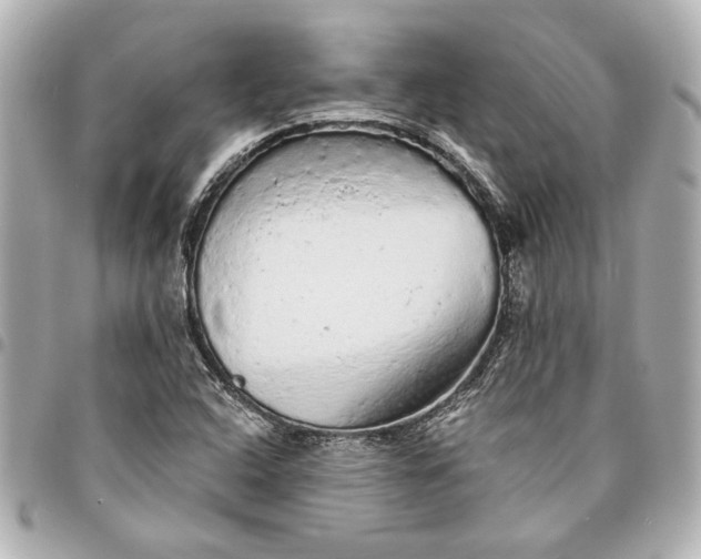 X0000095511408200712281427